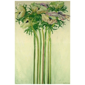 Anemonen