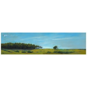 Landschap op Terschelling