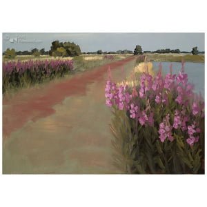 Wilgenroosjes Brandemeer