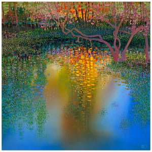 Water Garden