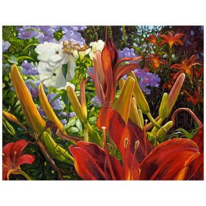 Lilium enchantment