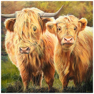 twee bruine koeien staan ​​naast elkaar op een veld