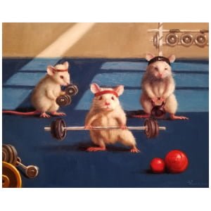 drie muizen zitten bovenop een halter