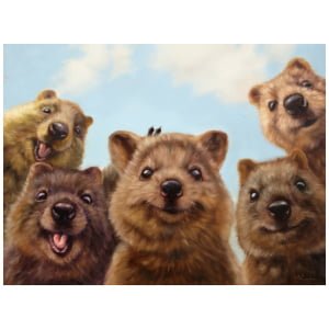 een groep bruine beren die naast elkaar staan