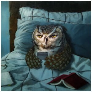 een uil die bovenop een bed zit en een mobiele telefoon vasthoudt