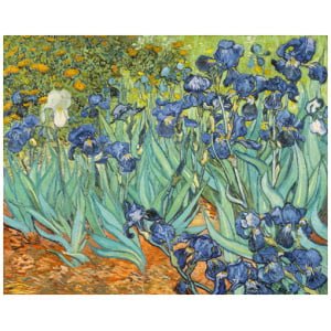 een schilderij van blauwe irissen in een veld