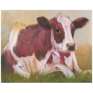 een tekening van een bruin-witte koe die in het gras ligt