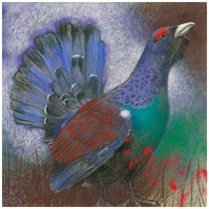 een tekening van een kleurrijke vogel met rode en blauwe veren