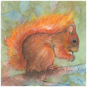 een tekening van een eekhoorn zittend op een tak