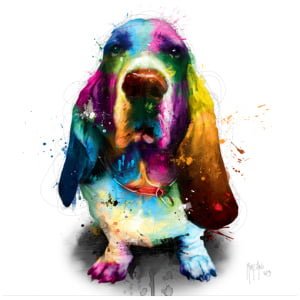 een kleurrijke hond zit op de grond