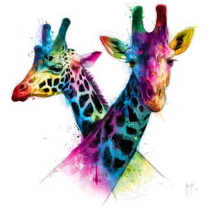 twee giraffen staan ​​naast elkaar