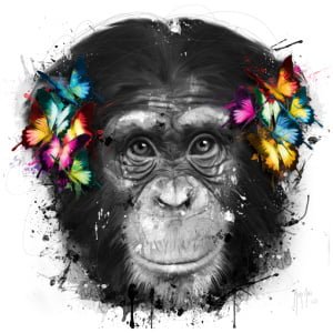 een aap met vlinders op zijn kop