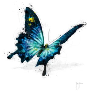 een blauwe vlinder met gele vlekken op zijn vleugels