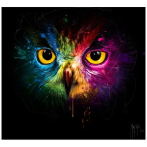 het gezicht van een uil met gele ogen