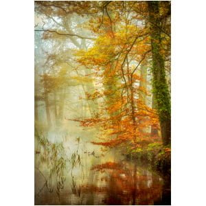 een afbeelding van een mistig bos met bomen en water