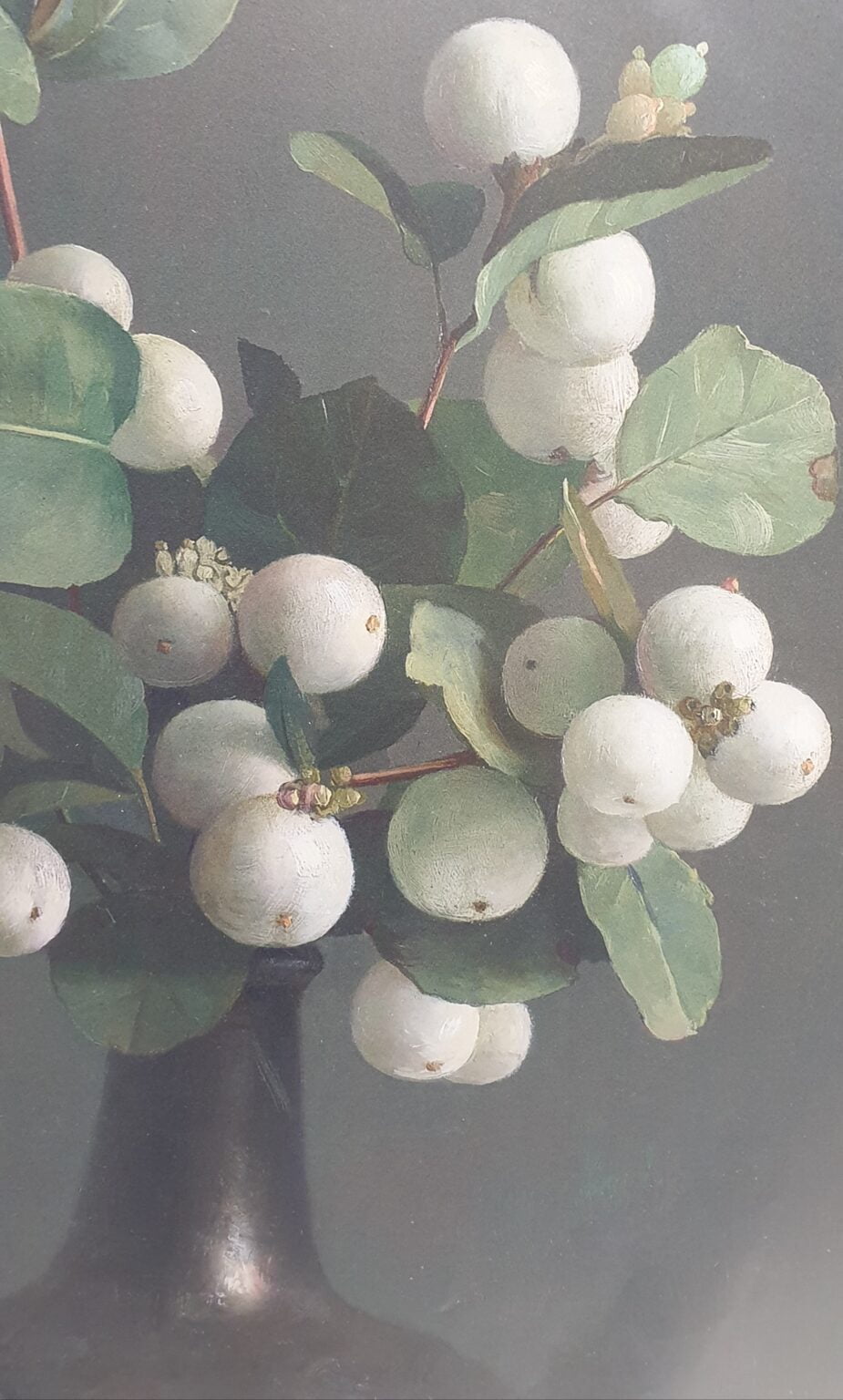 een vaas gevuld met witte bloemen en groene bladeren