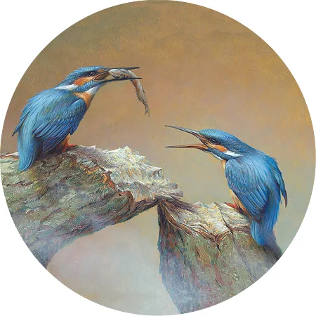 twee blauwe vogels met lange snavels op een tak