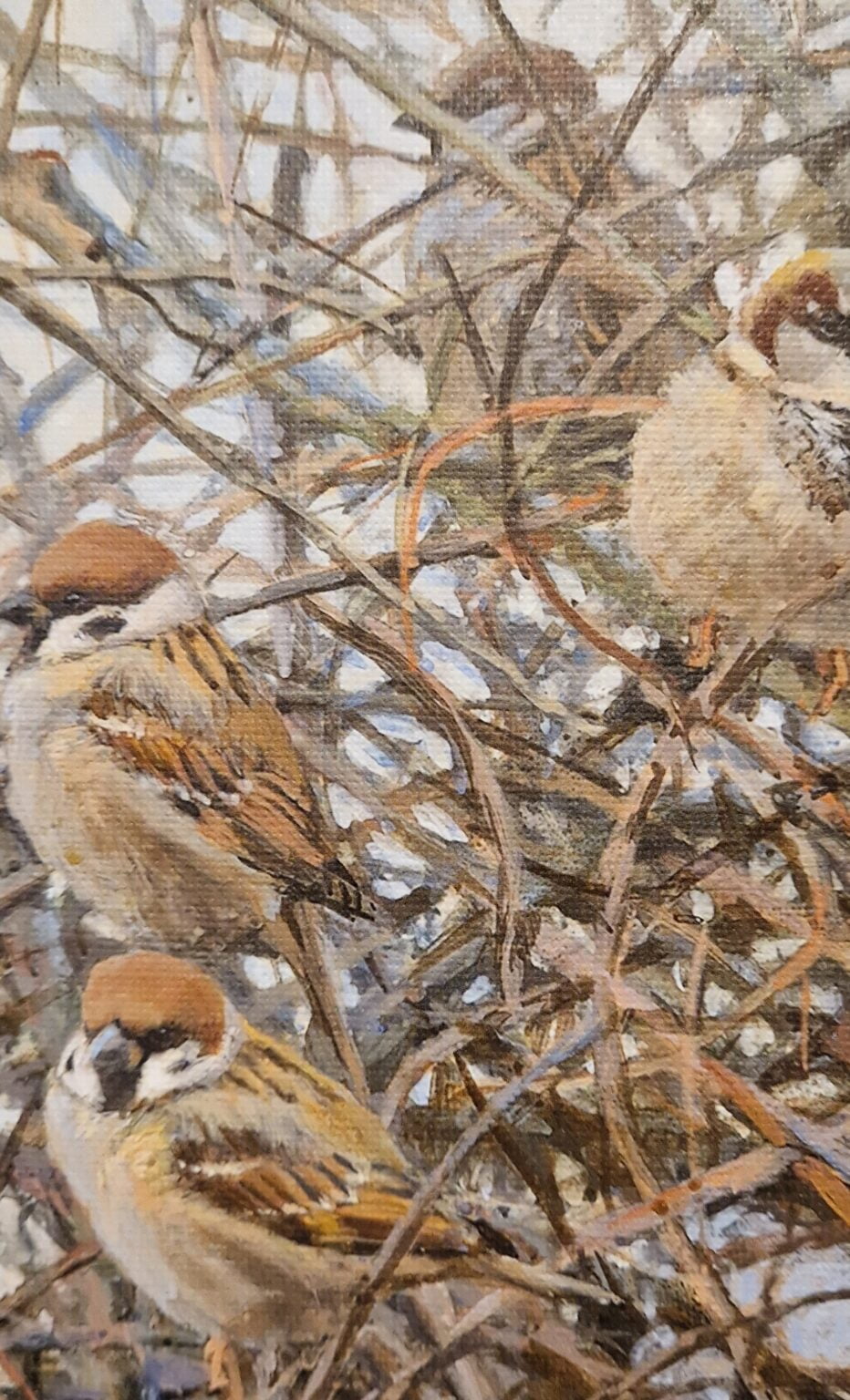 drie vogels zitten op takken in de sneeuw