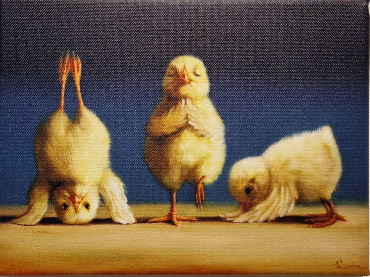 drie kippen staan ​​naast elkaar op een vloer