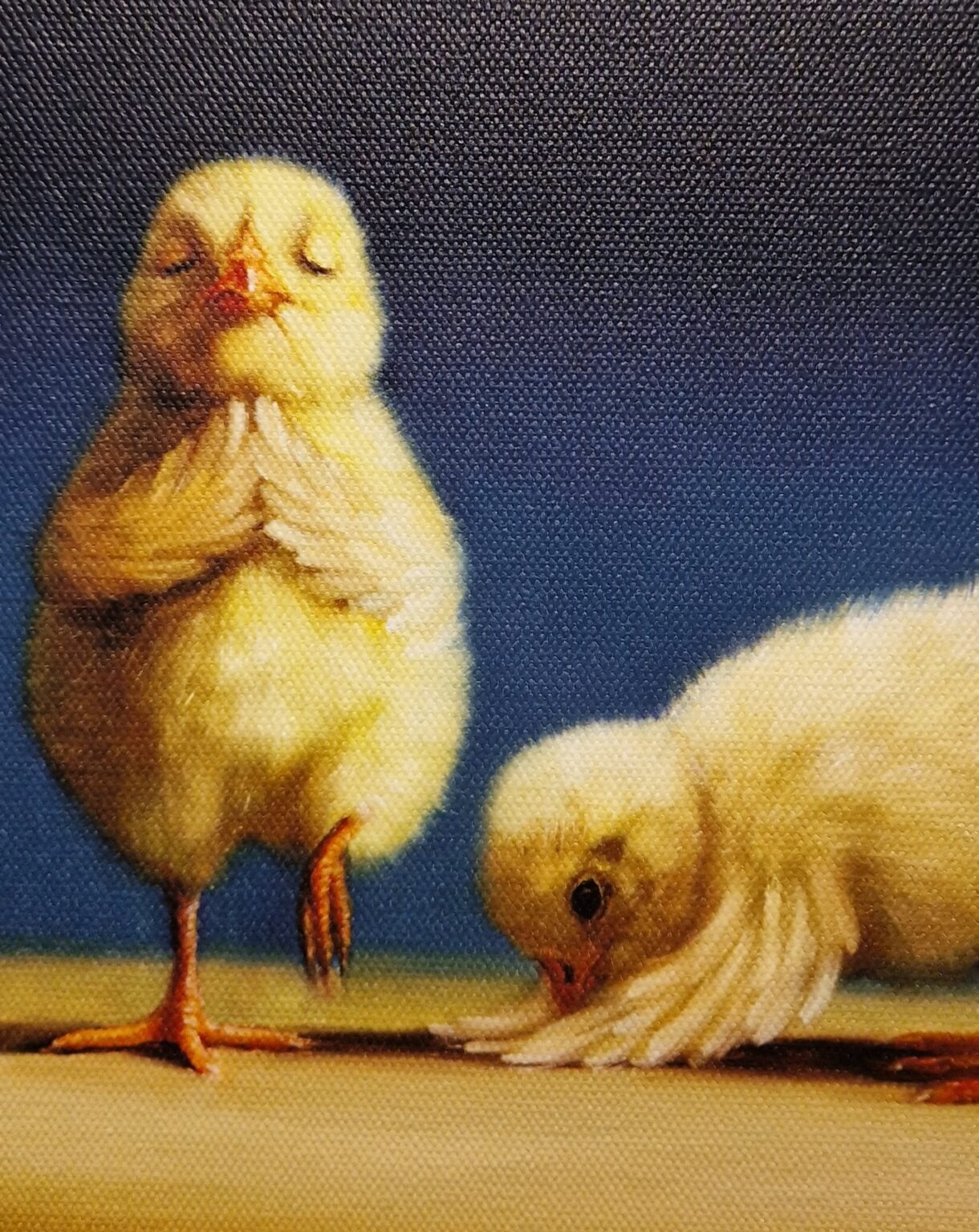 twee kleine kippen die naast elkaar staan