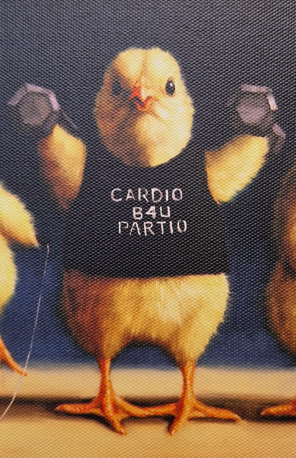 Lucia Heffernan, Cardio chicks, detail G