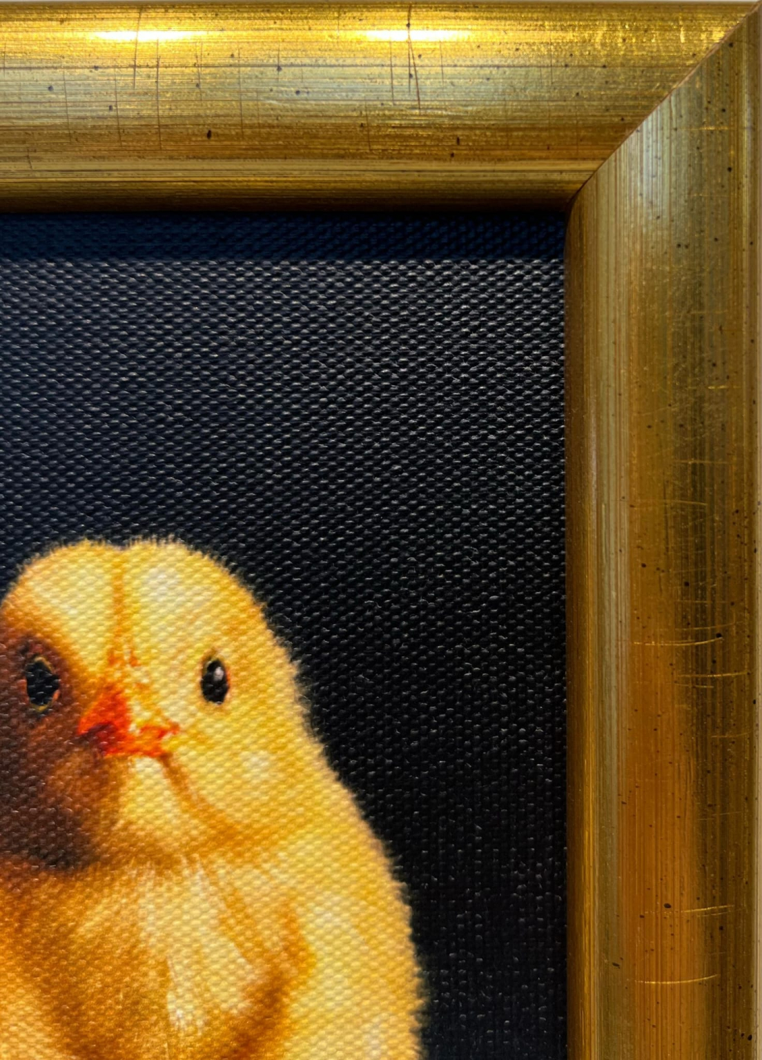 Lucia Heffernan, Cardio chicks, detail ZL (3)
