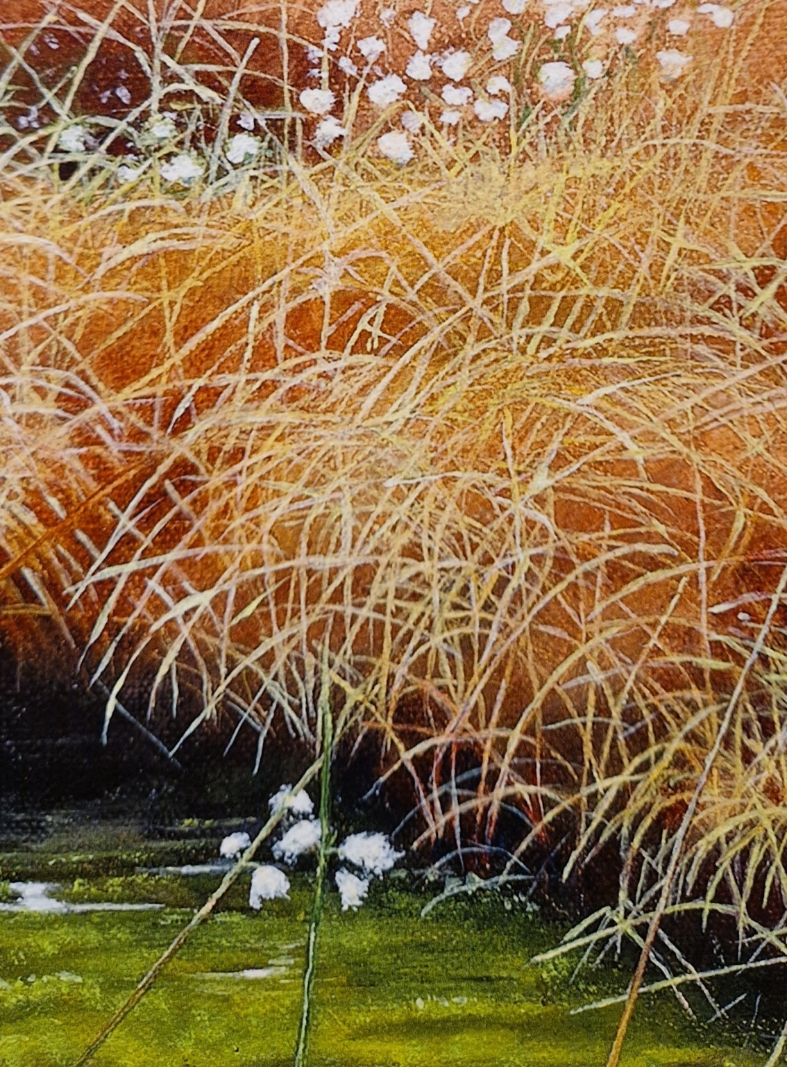 Geke Hoogstins, Witte veen, detail G