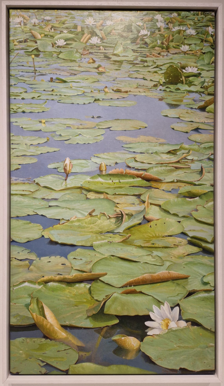Joke Frima, Waterlelies bij de Ronde Hoep, detail (6)