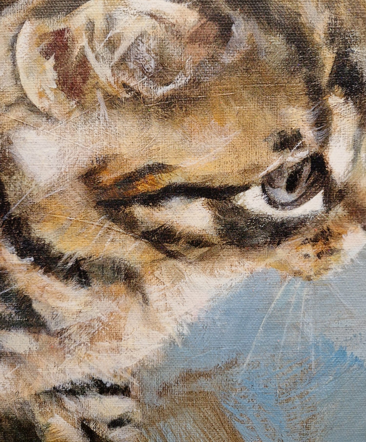 Dorus Brekelmans, Kitten, detail G