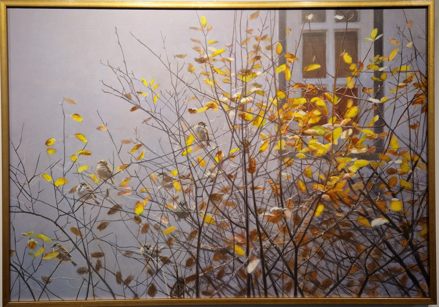 Elwin van der Kolk, Herfst - huismussen, V